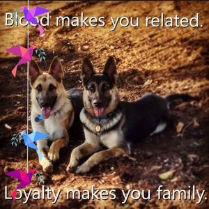 Meet your Posher, Lajuan